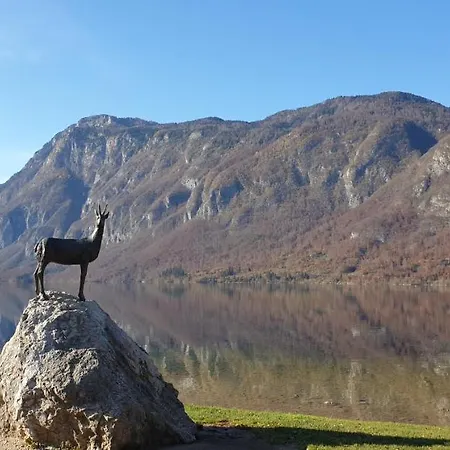 Appartement Sonce Bohinj