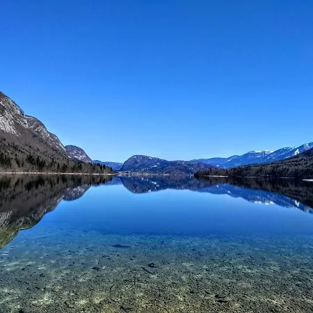 Sonce *
