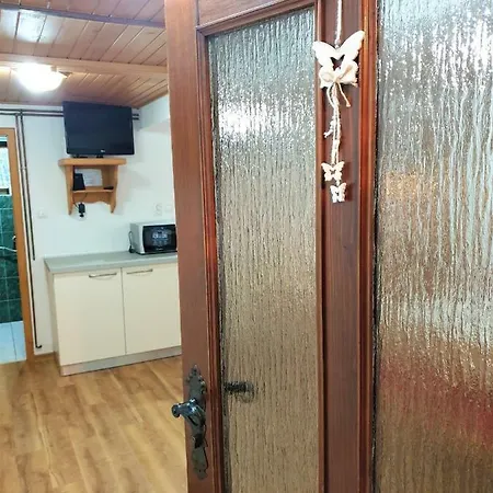 Sonce Apartment Bohinj