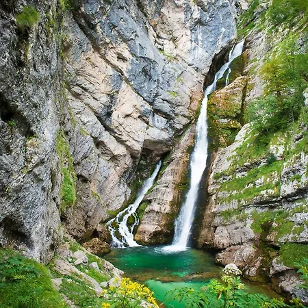 Sonce Daire Bohinj