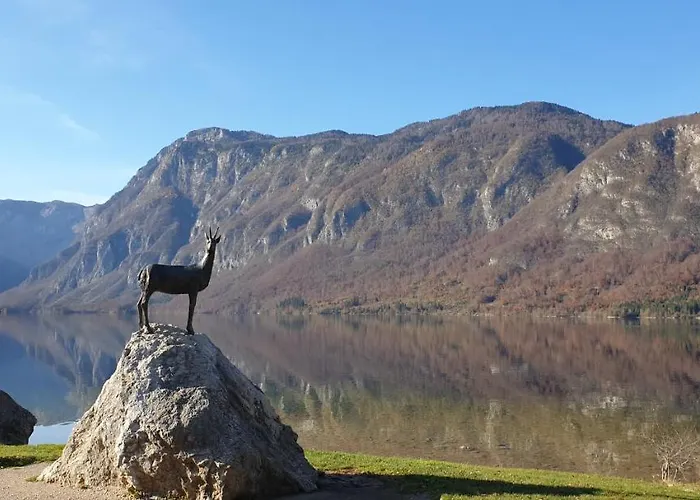 Apartma Sonce Bohinj