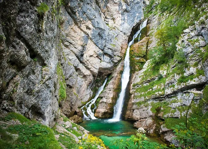 Sonce Apartma Bohinj